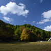 星野村の秋