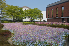 石橋文化センター