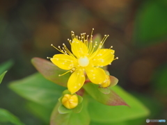 P6183636