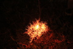 線香花火　