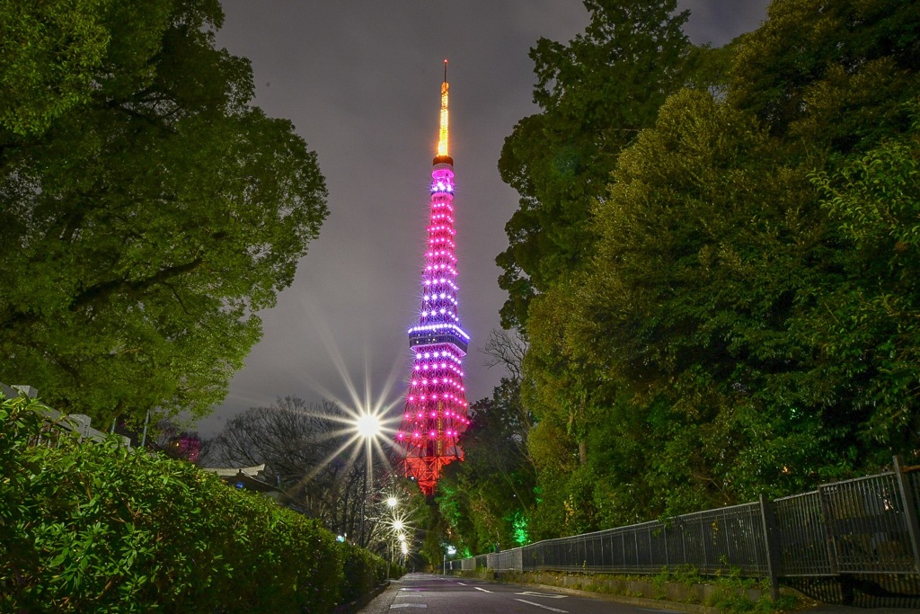 夜の東京タワー