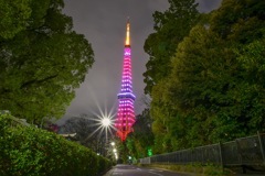 夜の東京タワー