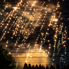 花火の降る夜に