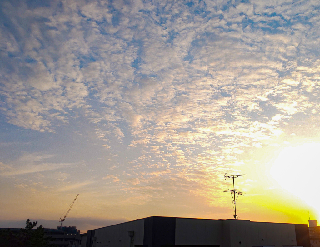 今日の雲