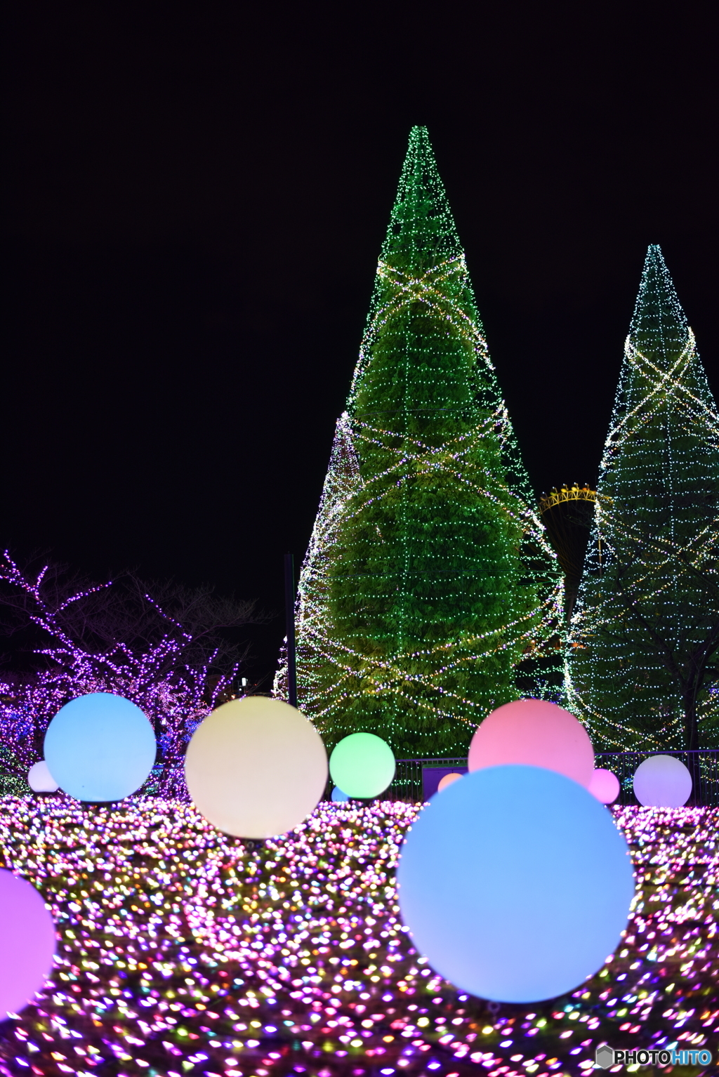 よみうりランド イルミネーション