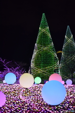 よみうりランド イルミネーション