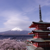 新倉山浅間公園_桜・富士山