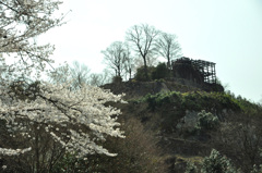 山城の春