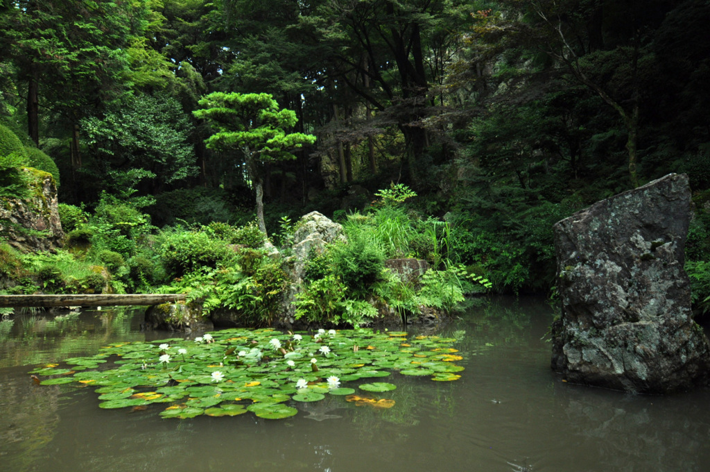 日本庭園　盛夏