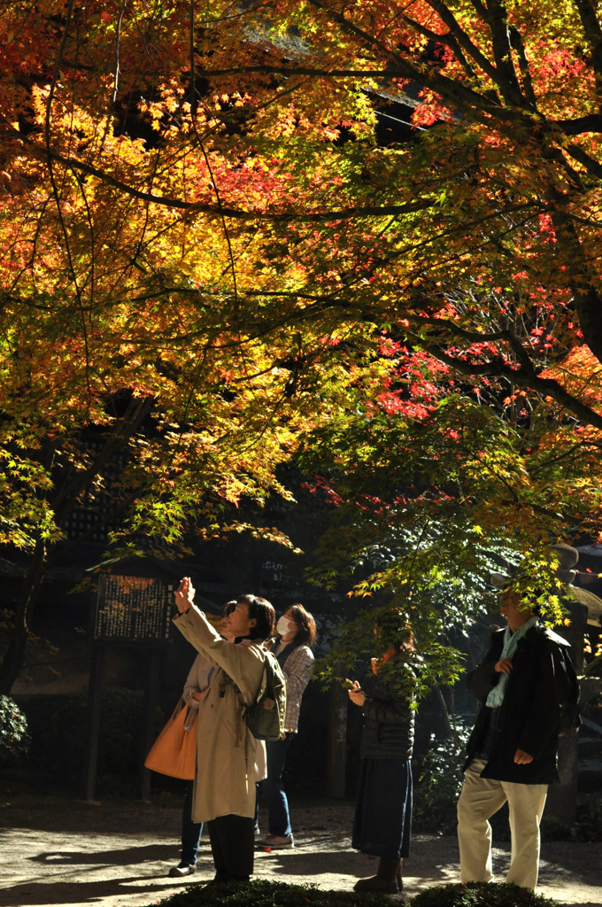 スポット！　　列なして・・・