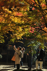 スポット！　　列なして・・・