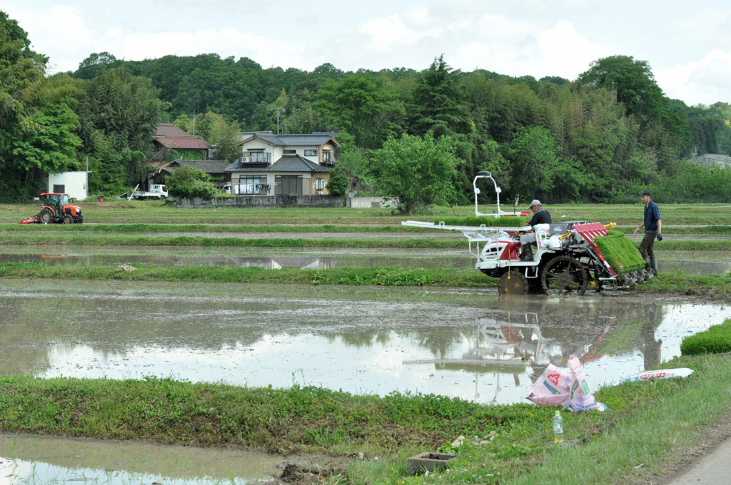 自給農家の田植え～