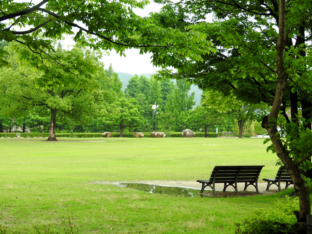 コロナ禍の雨上がり