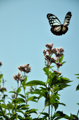 今年もありがとう～～！　また来てね～！！