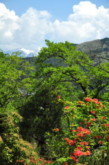 南木曾より木曽駒ケ岳　夏雲現る！