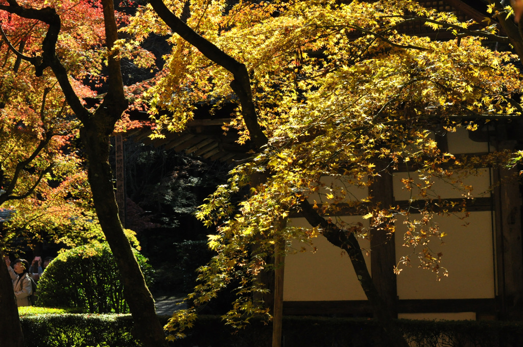 今年もありがとう～！！