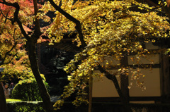 今年もありがとう~!! 今年もありがとう~!!