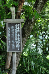 木曽川畔　犬山ー扶桑町散策路