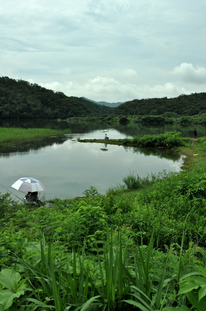 梅雨明け待てぬ・・・