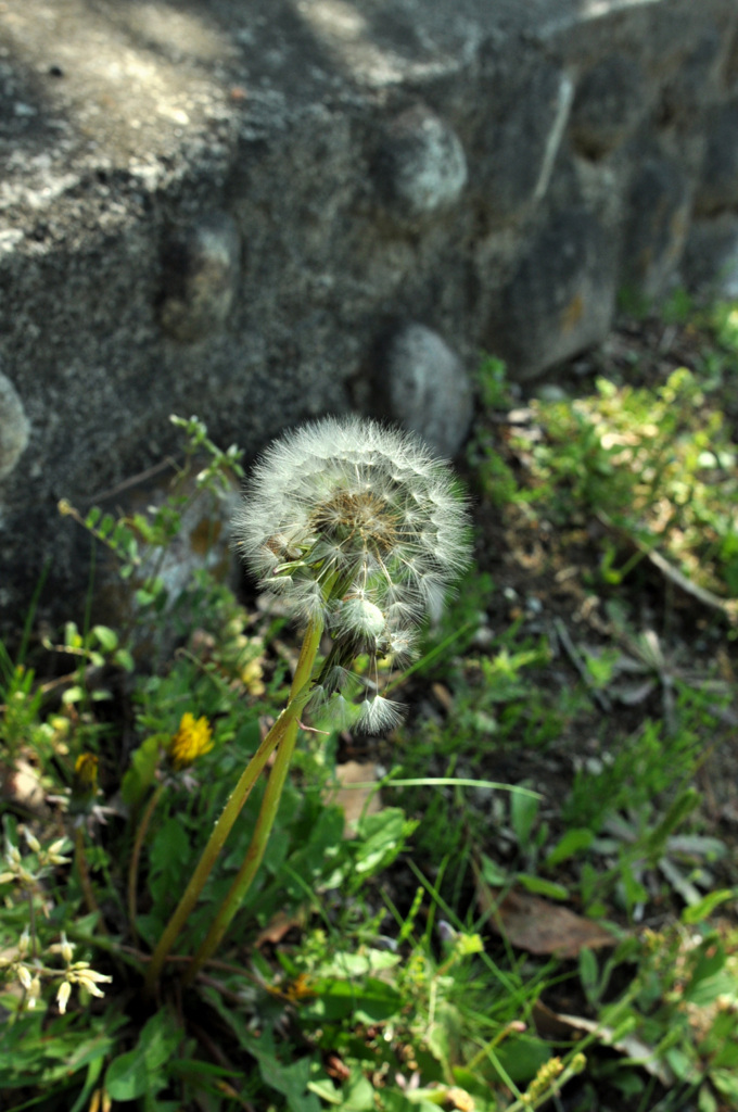 満を持して～～・・・