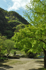 人なし　　公園は新緑