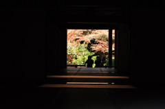 むこうもこちらを撮っている～