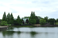 梅雨一休みの公園