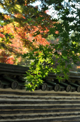古刹の紅葉 古刹の紅葉