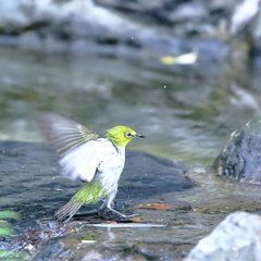 着水！