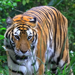 台北動物園
