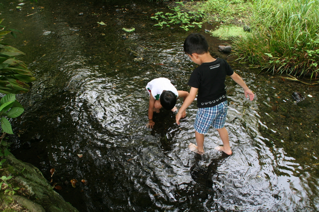 初夏の川遊び IMG_0041