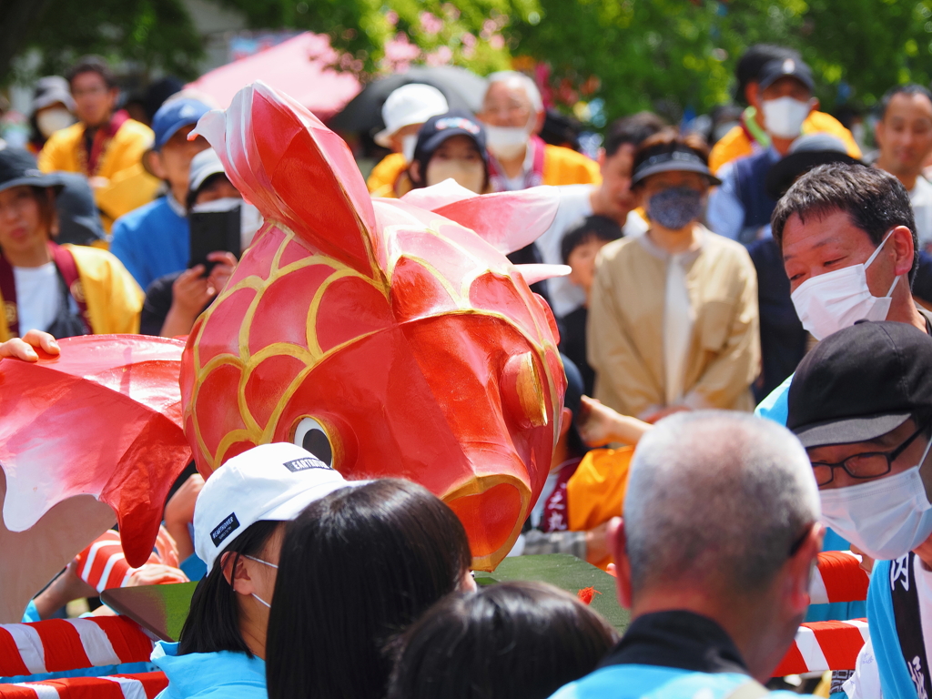 桑名金魚祭り②