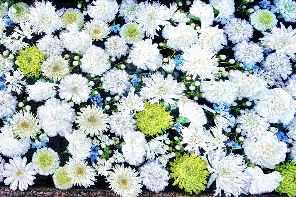 花まいり　3月1日