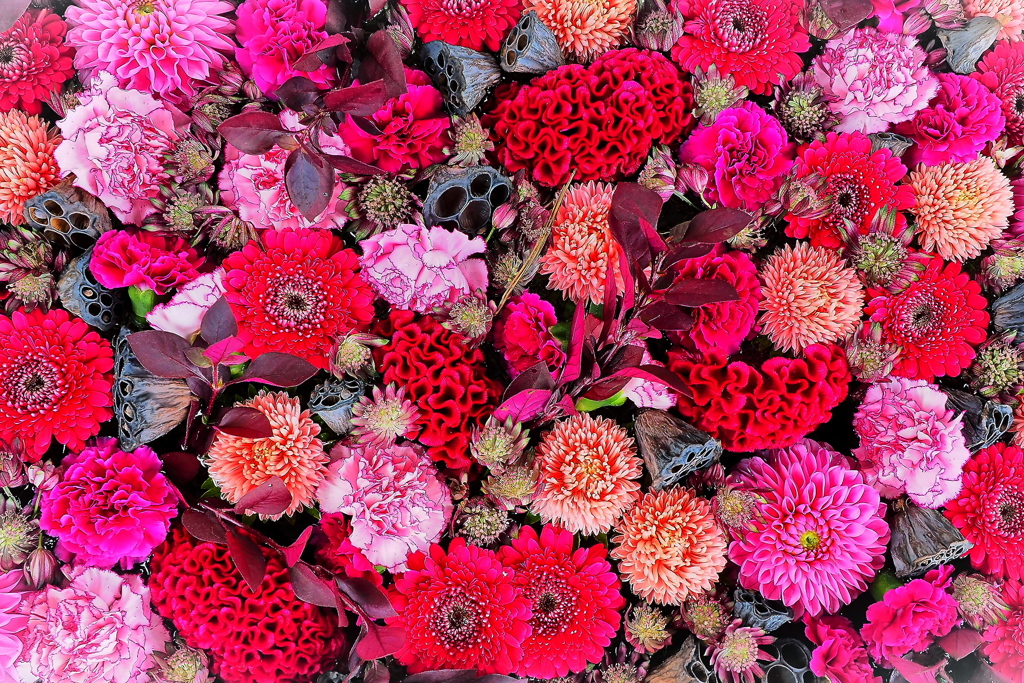 秋の花手水舎