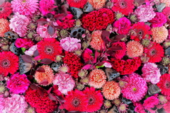 秋の花手水舎