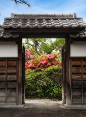 棟門