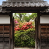 棟門