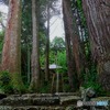 杉林に佇む　山寺　
