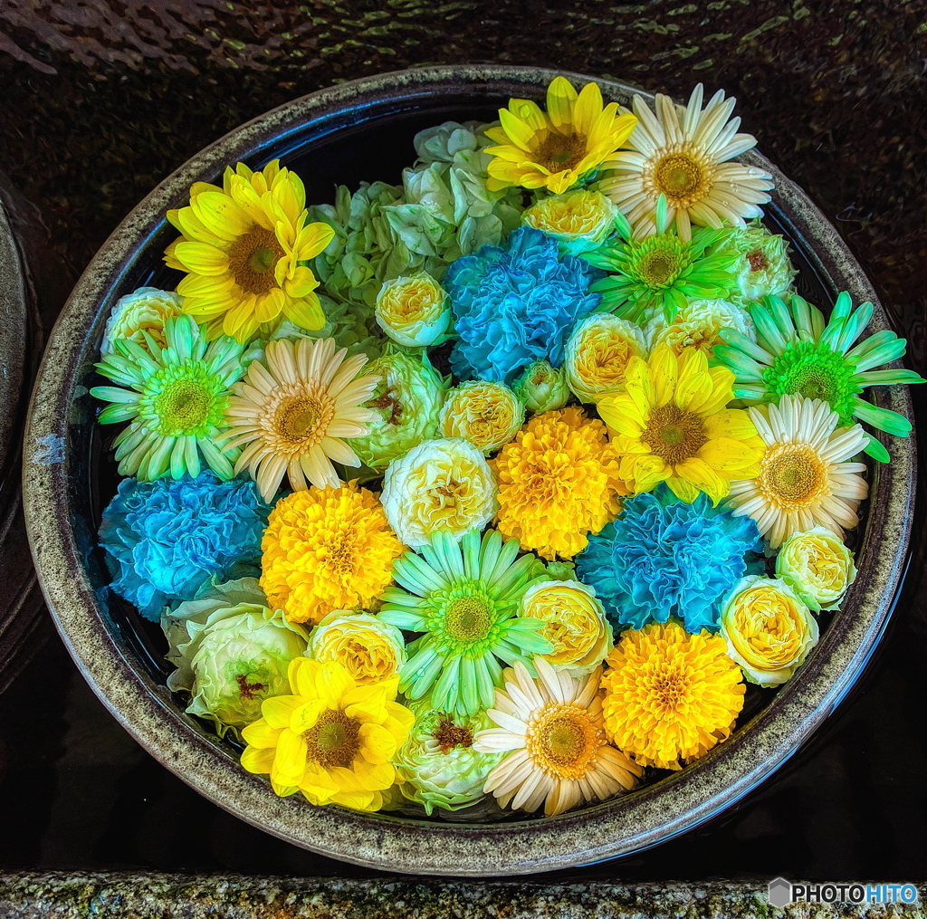 花まいり　8月朔日参り