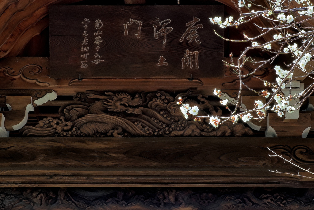龍と白梅