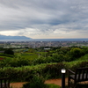 雨のち曇り 駿河湾一望