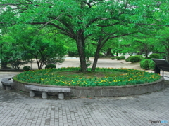 公園