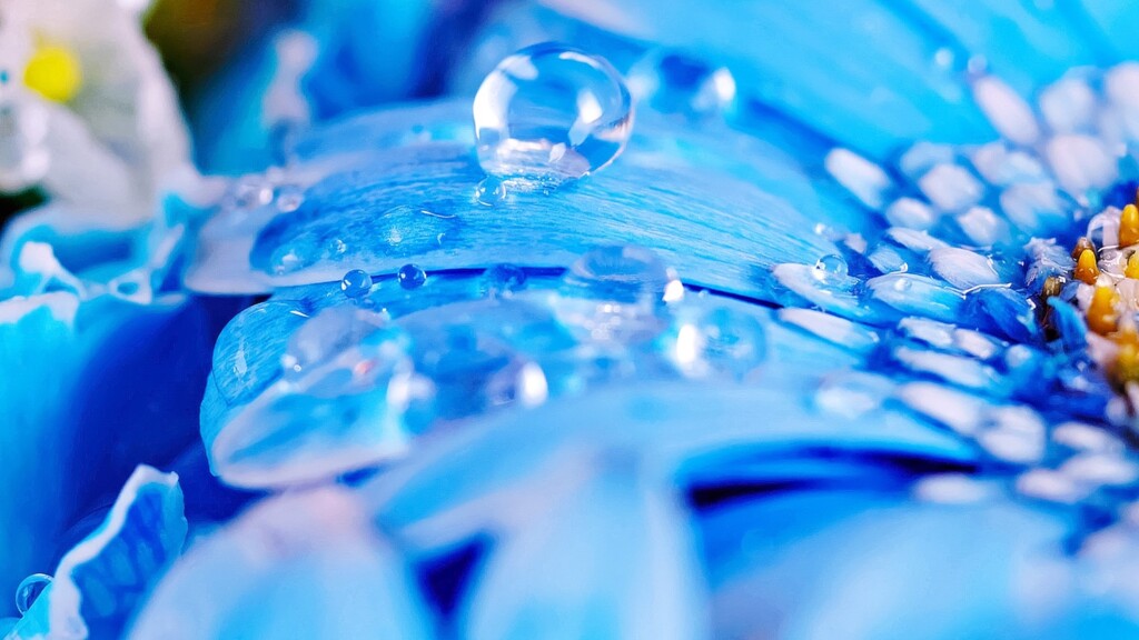 水玉