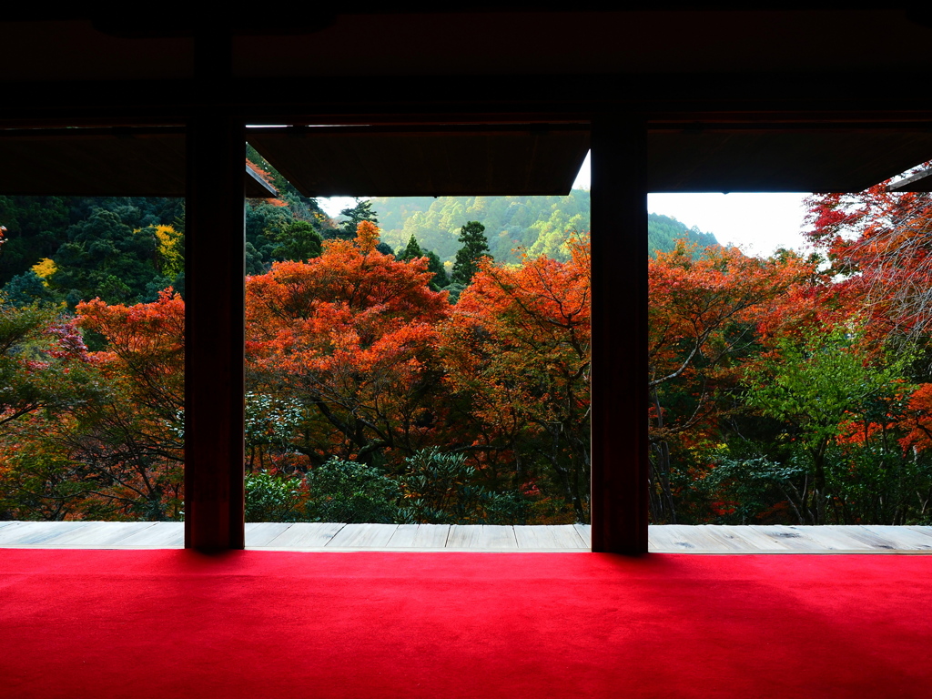 栂尾山 高山寺 石水院