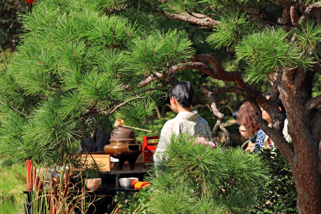 野立て お茶会