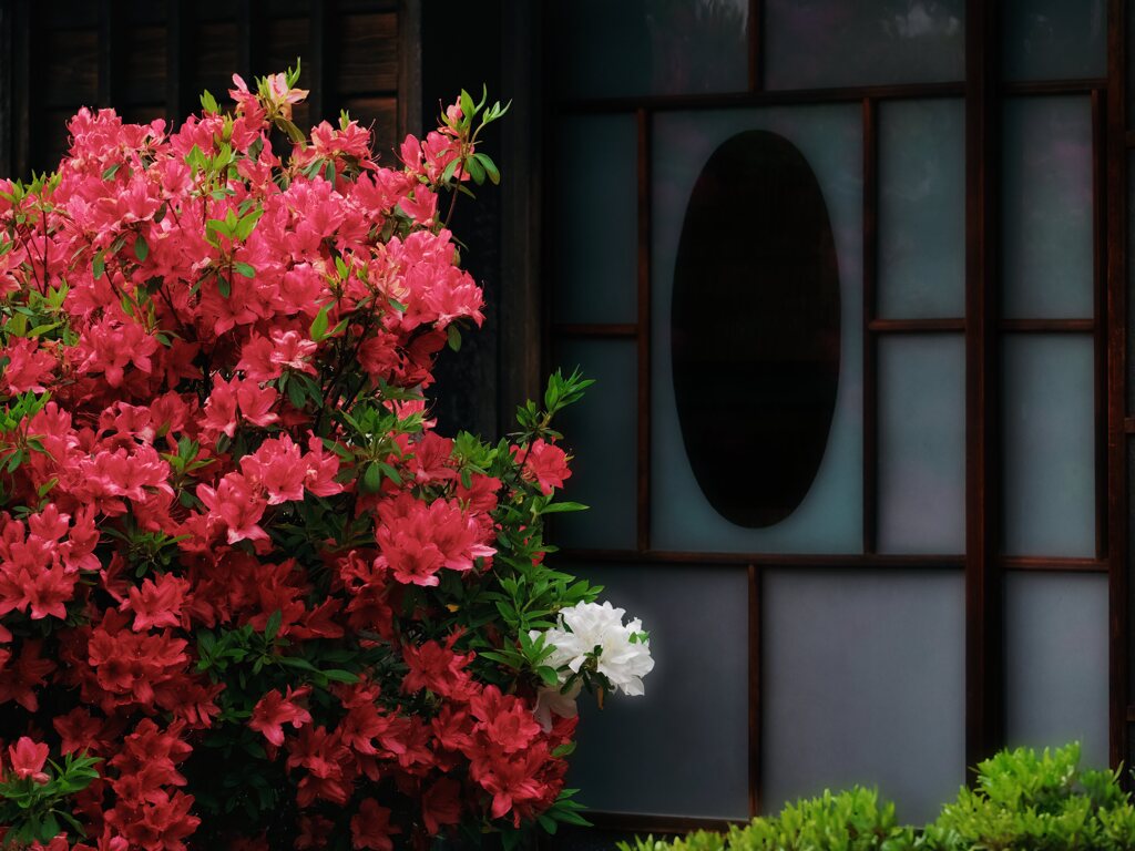 窓