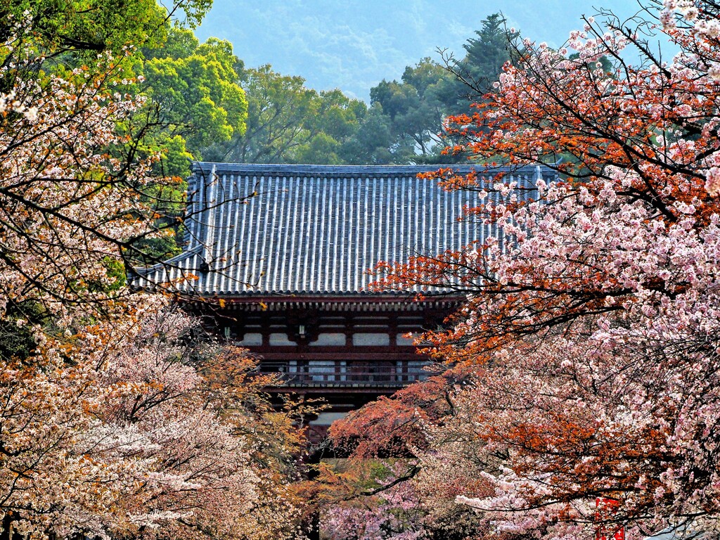 醍醐寺  仁王門(西大門)