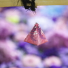 花まいり　その②