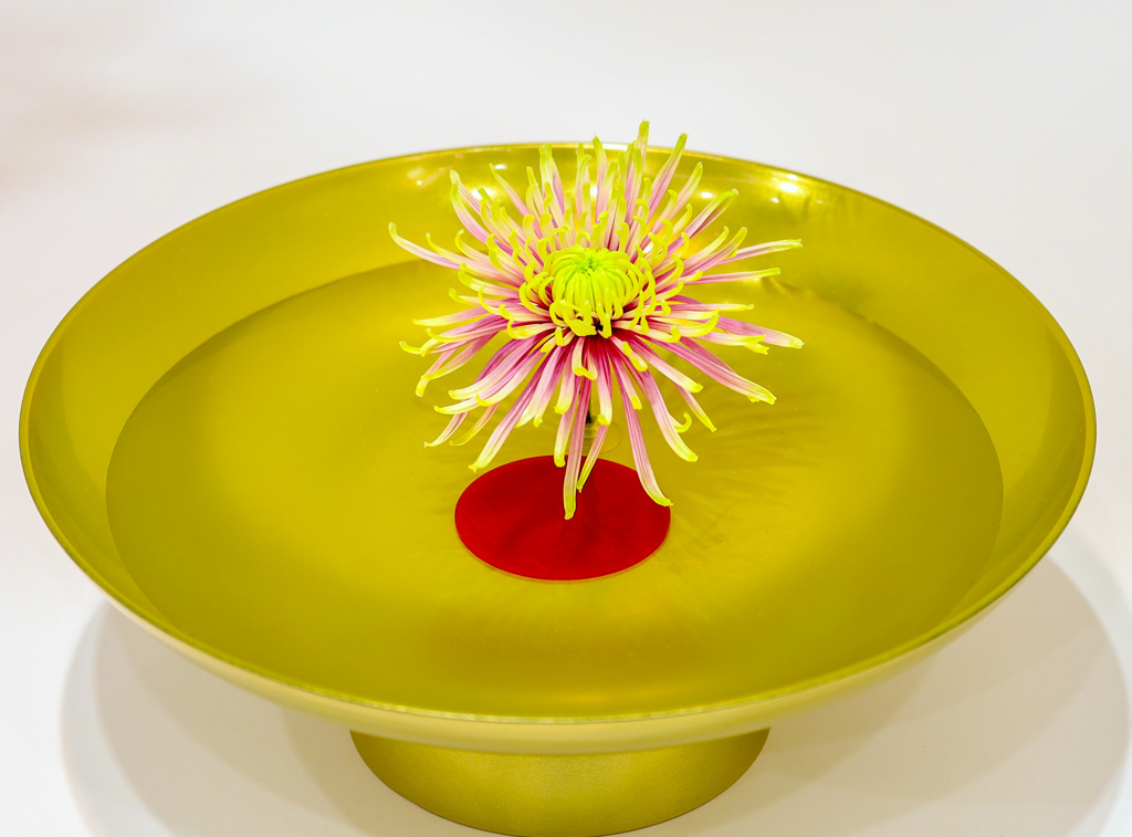 生け花 菊