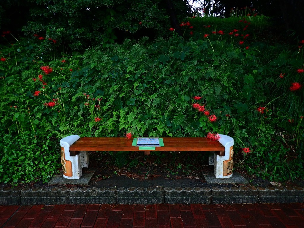 雨の日のベンチ